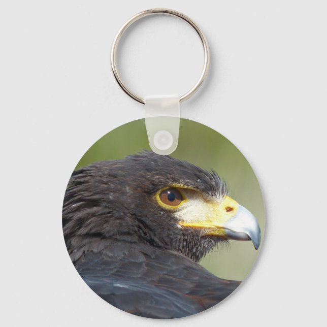 Llavero Harris Hawk (Anverso)