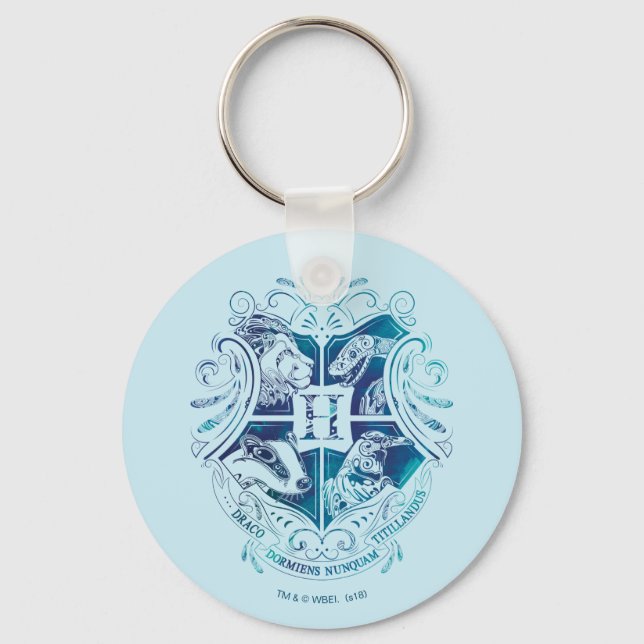 Llavero Harry Potter | Escudo Aguamenti HOGWARTS™ (Anverso)