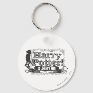 Llavero ¡Harry Potter! Ha pasado tanto tiempo
