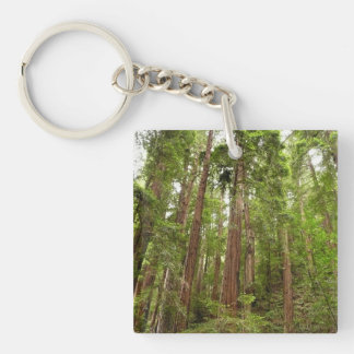 Llavero Hasta Redwoods I en el Monumento Nacional Muir Woo