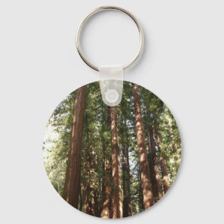 Llavero Hasta Redwoods II en el Monumento Nacional Muir Wo