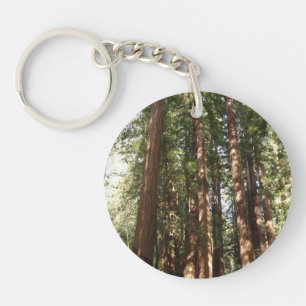 Llavero Hasta Redwoods II en el Monumento Nacional Muir Wo