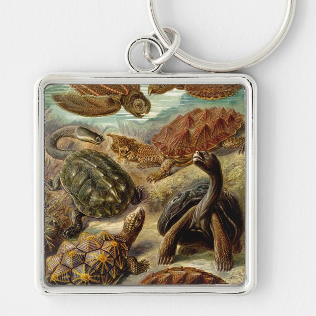 Llavero Heckel Turtles (Frente)