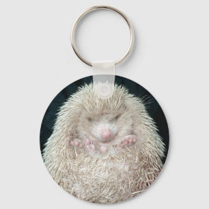 Llavero Hedgehog