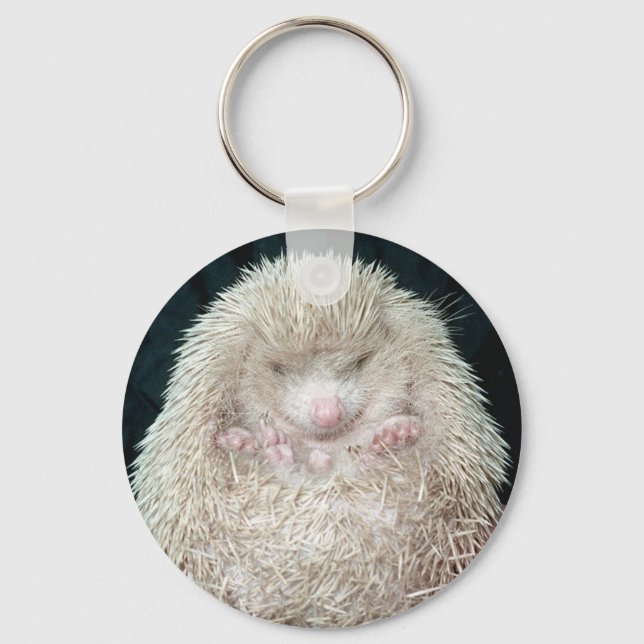 Llavero Hedgehog (Anverso)