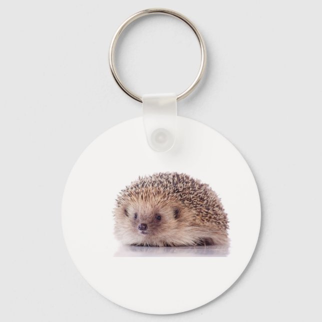 Llavero Hedgehog, (Anverso)