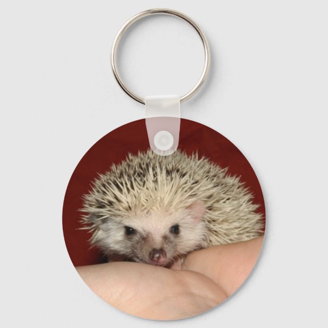 Llavero Hedgehog facial de Pinto (Anverso)