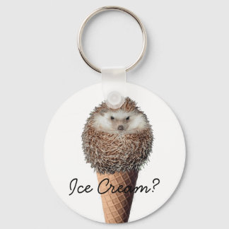 Llavero Hedgehog Ice Cream