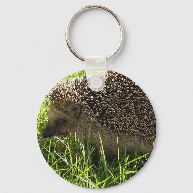 Llavero Hedgehog Keychain (Anverso)