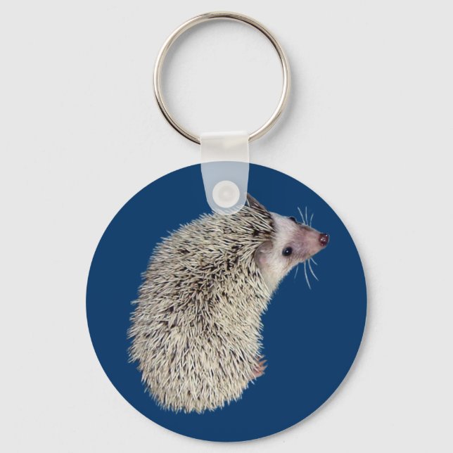 Llavero Hedgehog Keychain 2 (Anverso)