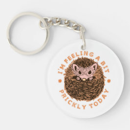 Llavero Hedgehog, me siento un poco orgulloso hoy