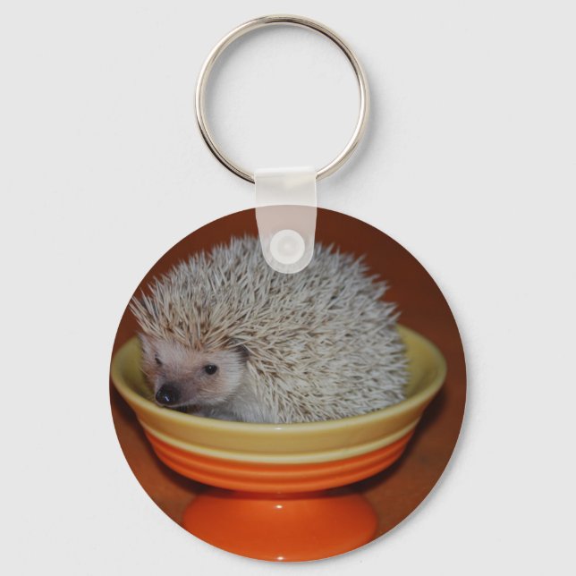 Llavero Hedgehog Sundae (Anverso)