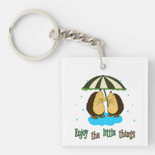 Llavero Hedgeogares y lluvia