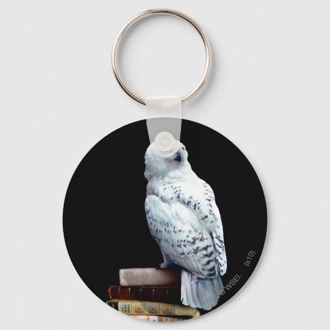 Llavero Hedwig en libros (Anverso)