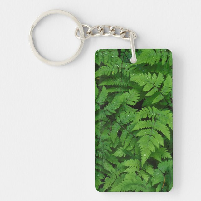 Llavero helado bracken con gotas de lluvia, estado de Wash (Frente)