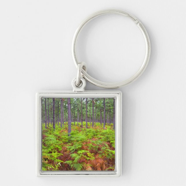 Llavero Helecho Común (Pteridium Aquilinum) Creciente (Frente)