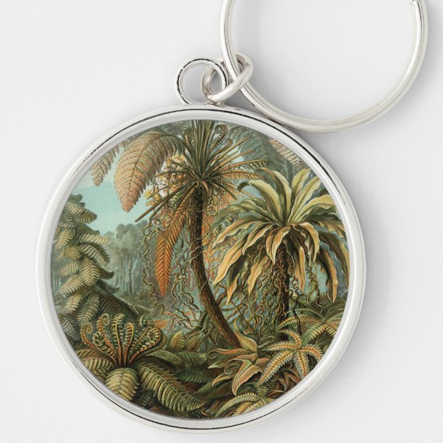 Llavero Helechos Palma Árbol Antiguo Arte Botánico Helecho (Frente)