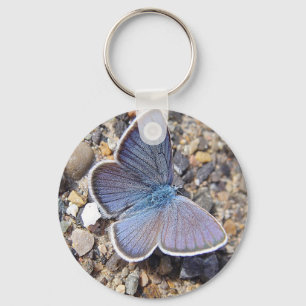 Llavero Hellblauer Schmetterling