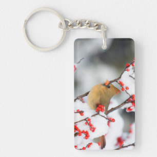 Llavero hembra de cardenal norteño en Common Winterberry
