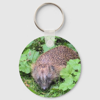 Llavero Herman Hedgehog