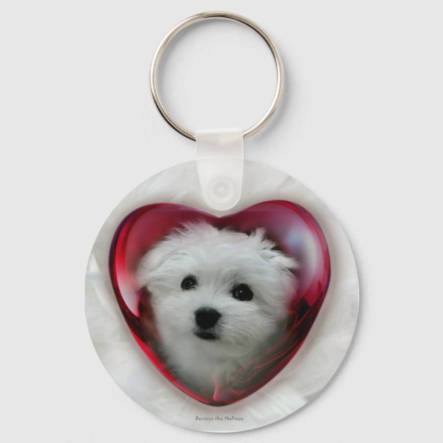 Llavero Hermes the Maltese (Anverso)