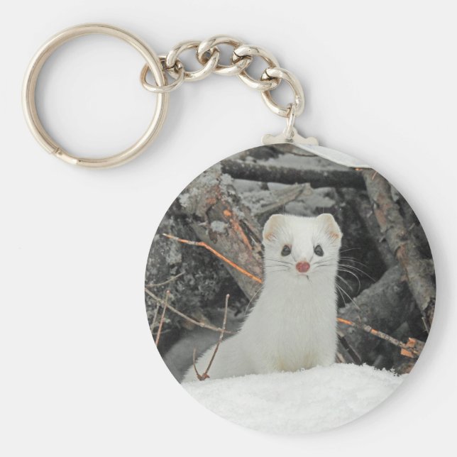 Llavero Hermine blanche (Frente)