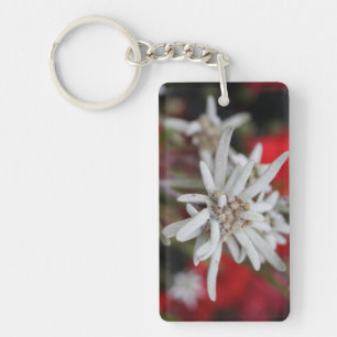 Llavero Hermosa Edelweiss Leontopodium nivale