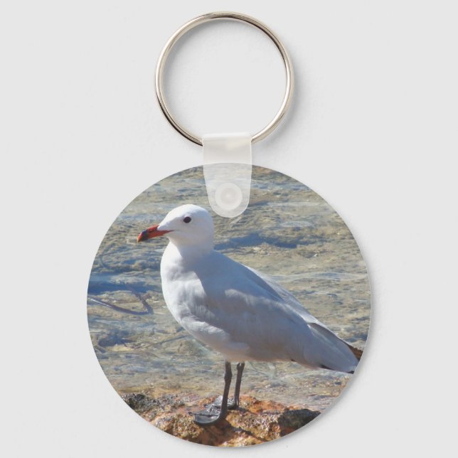 Llavero Hermosa Gaviota - Keychain (Anverso)