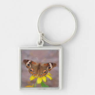 Llavero Hermosa mariposa sobre la flor amarilla
