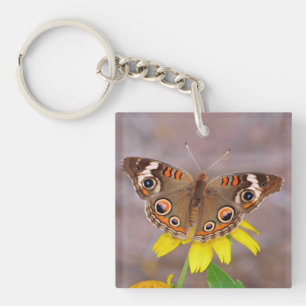 Llavero Hermosa mariposa sobre la flor amarilla