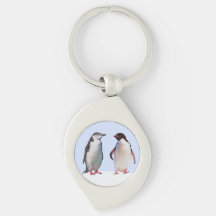 Hermosa pareja de pájaros pingüinos en azul claro