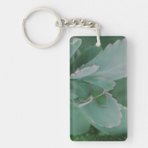 Llavero Hermosa Planta Desierta Fotografía de Arte