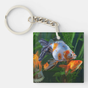 Llavero Hermoso acuario