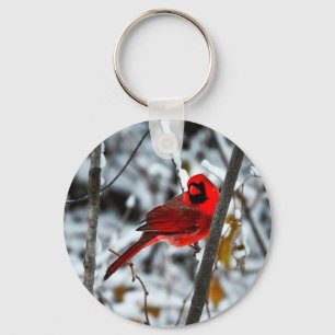 Llavero Hermoso cardenal rojo brillante en la nieve