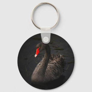 Llavero Hermoso cisne negro con un brillante pico rojo