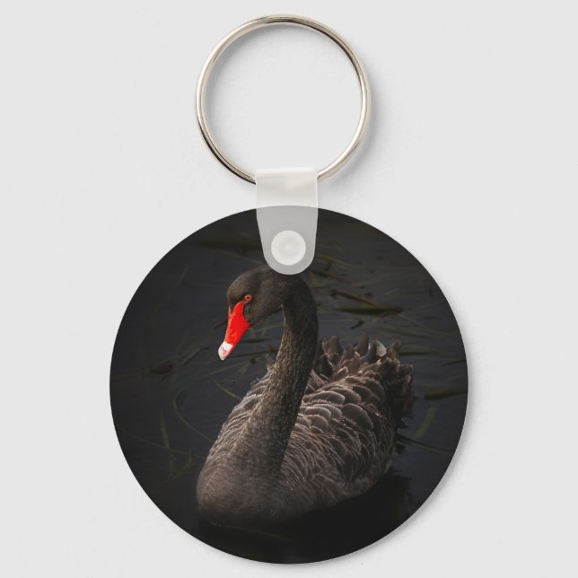 Llavero Hermoso cisne negro con un brillante pico rojo (Anverso)
