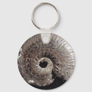 Llavero Hermoso fósil de amonito pirético que muestra sutu