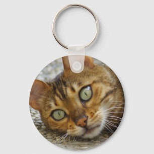 Llavero Hermoso gato bengalí