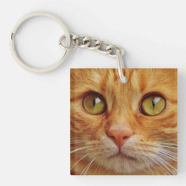 Llavero Hermoso gato foto personalizada (Frente)