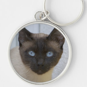 Llavero Hermoso gato siamés de punto de foca