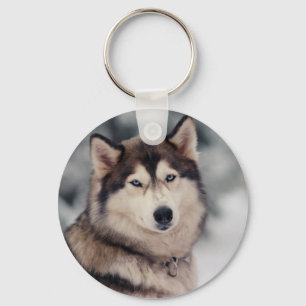 Llavero Hermoso Husky al aire libre