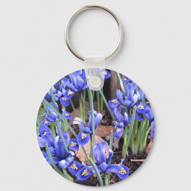 LLAVERO HERMOSO IRIS (Anverso)