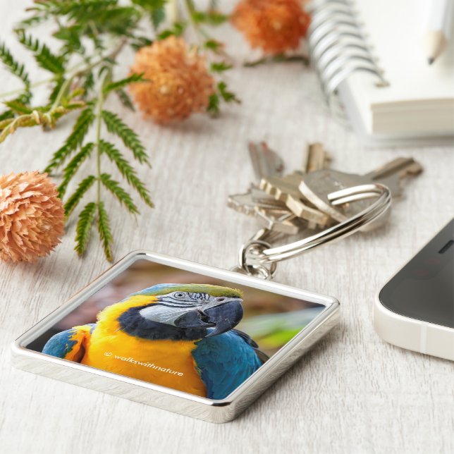 Llavero Hermoso macao azul y dorado (Lado)