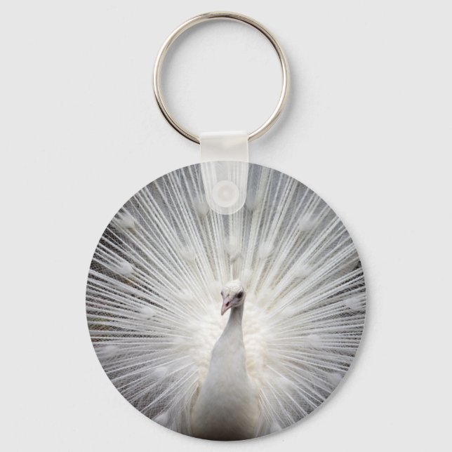 Llavero Hermoso pavo real blanco (Anverso)