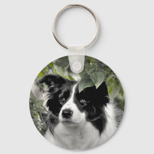 Llavero Hermoso perro Collie