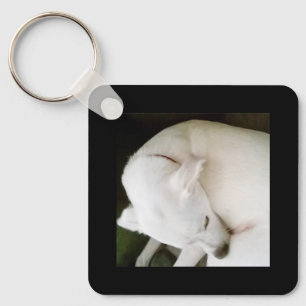 Llavero Hermoso perro de cachorro blanco tranquilo durmien