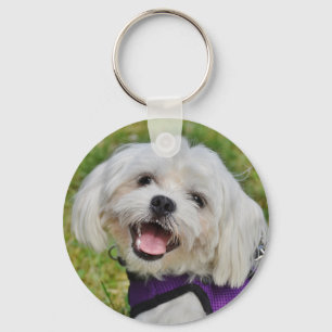 Llavero Hermoso perro picante maltés blanco y esponjoso