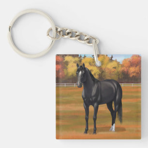 Llavero Hermoso Stallion de caballos del Barrio Negro