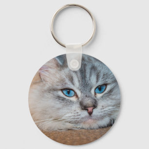 Llavero Hermosos ojos azules de gato