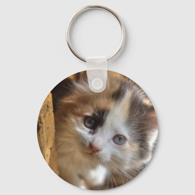 Llavero Heterochromia Calico Kitten (Anverso)